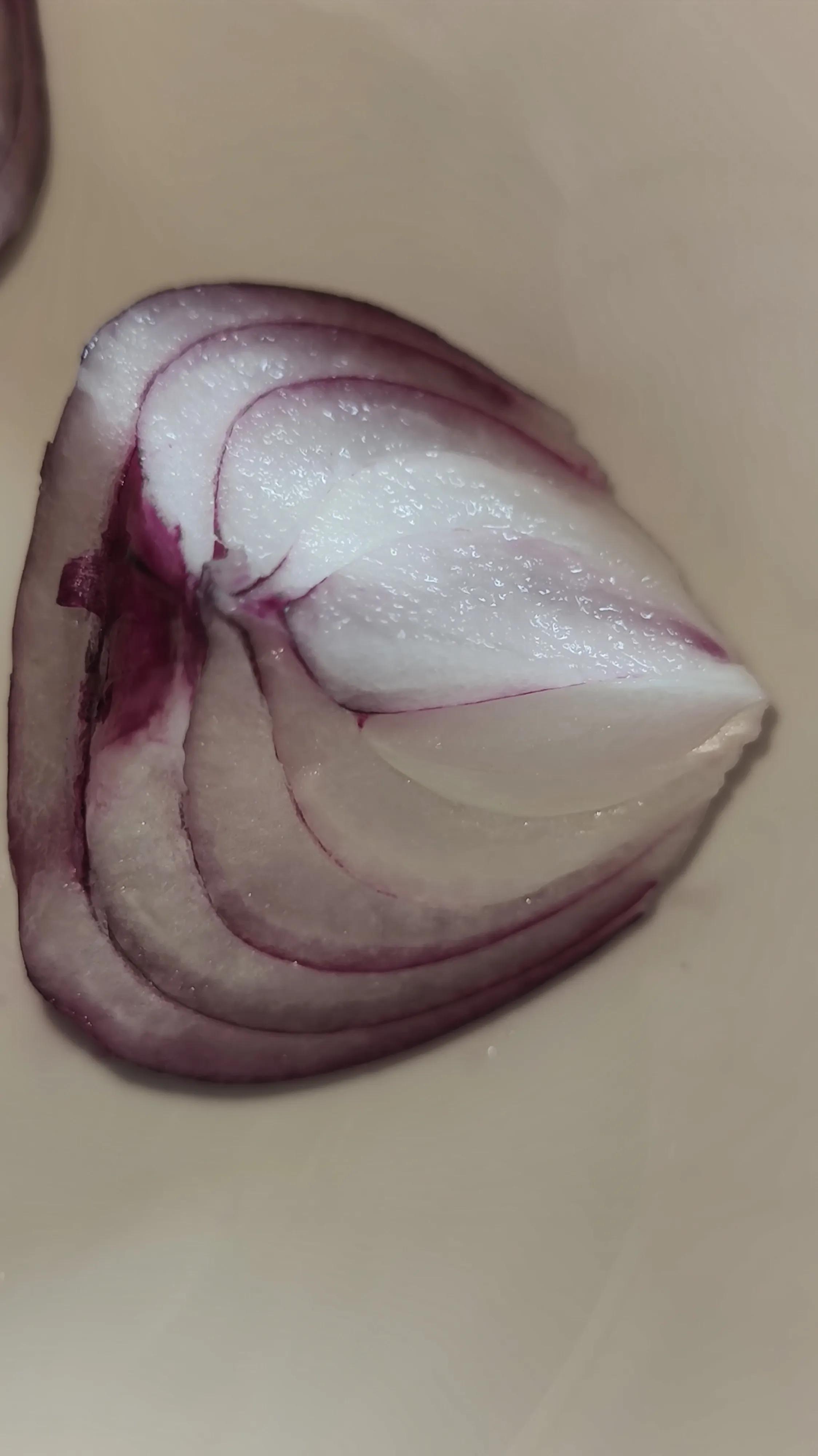 言即肉身日用即道,言即肉身还是言及肉身