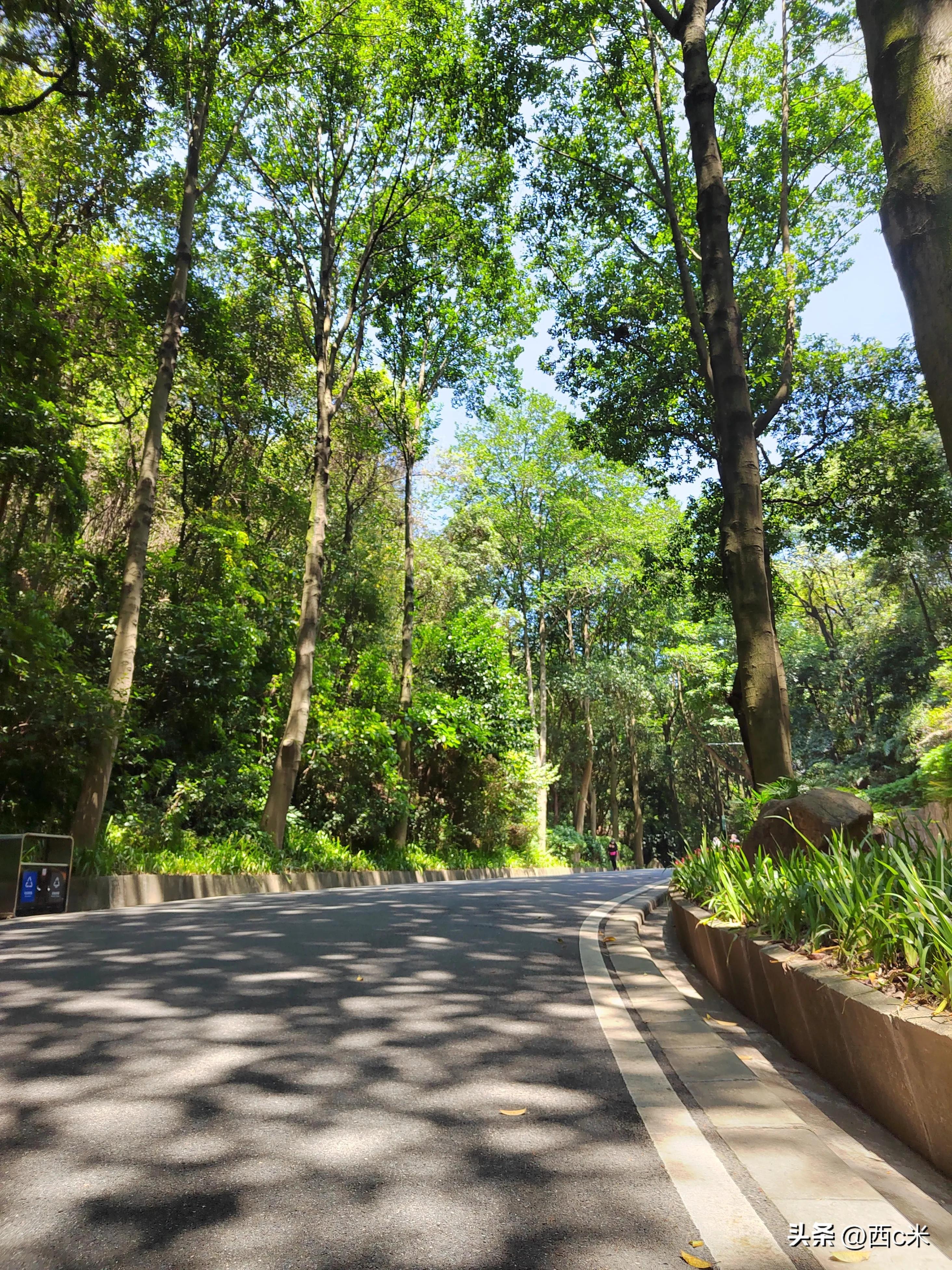 骞垮窞娓哥帺鏀荤暐,骞垮窞鐧戒簯灞变粠鍝釜闂ㄨ繘姣旇緝濂界帺