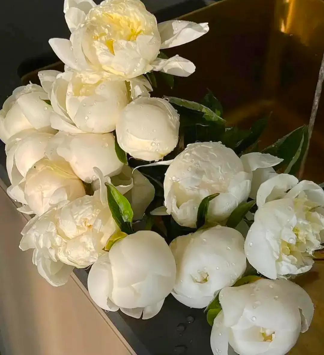 我被豪门撞了一下腰,我被豪门撞了一下腰03