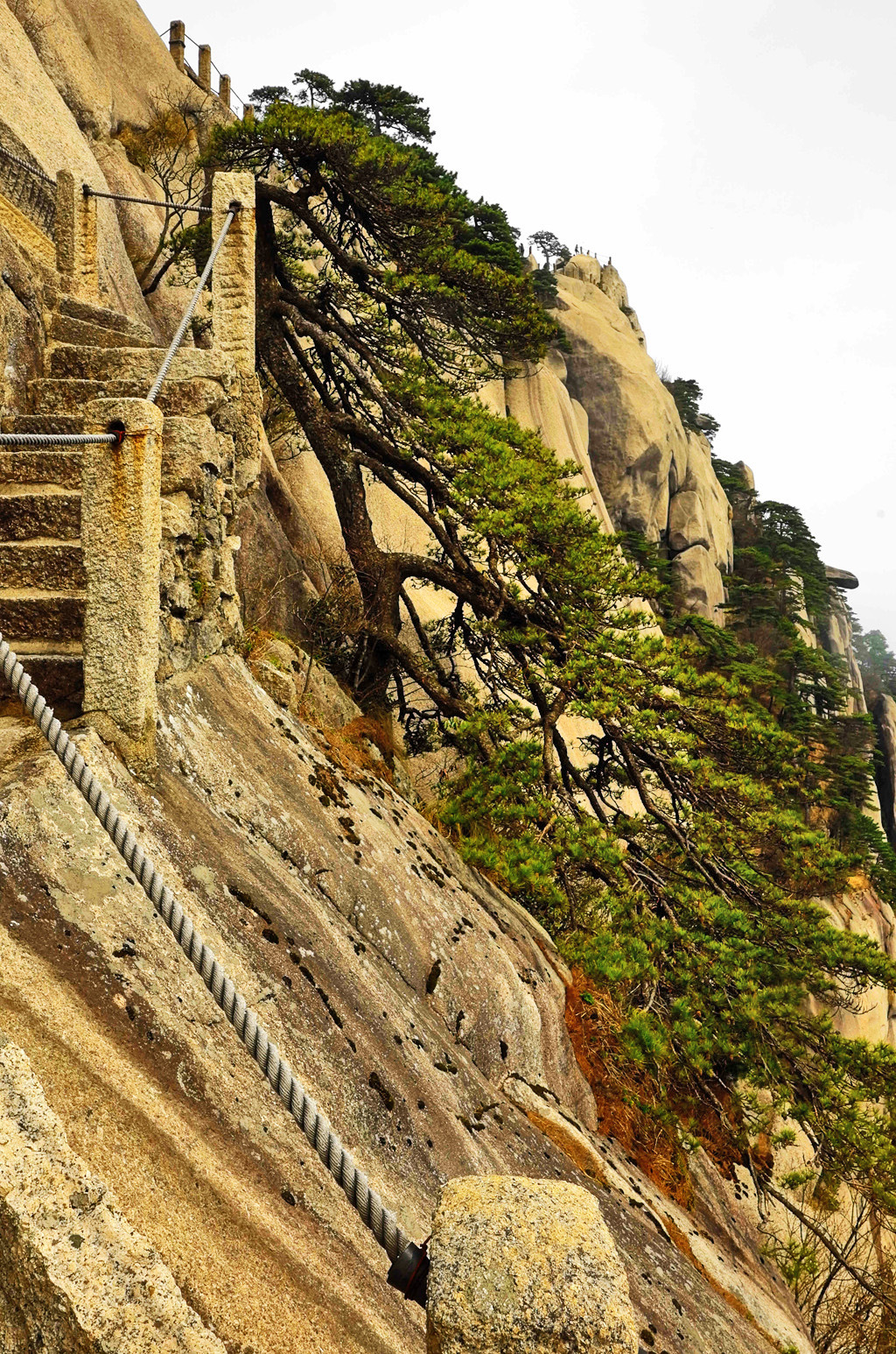 黄山天都峰会走鲫鱼背吗,黄山天都峰鲫鱼背第一视角