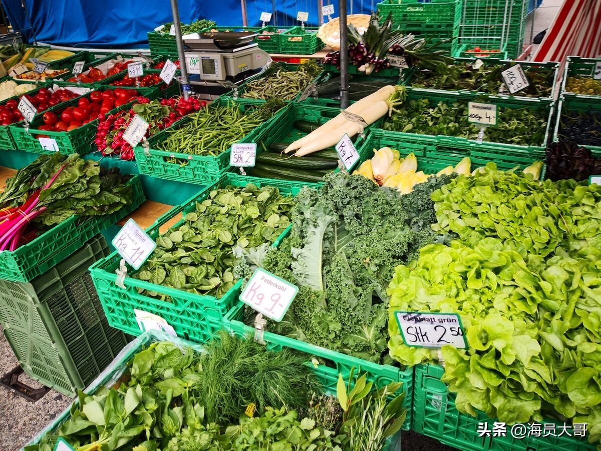 船员体验生活视频,船员体验一下船上生活