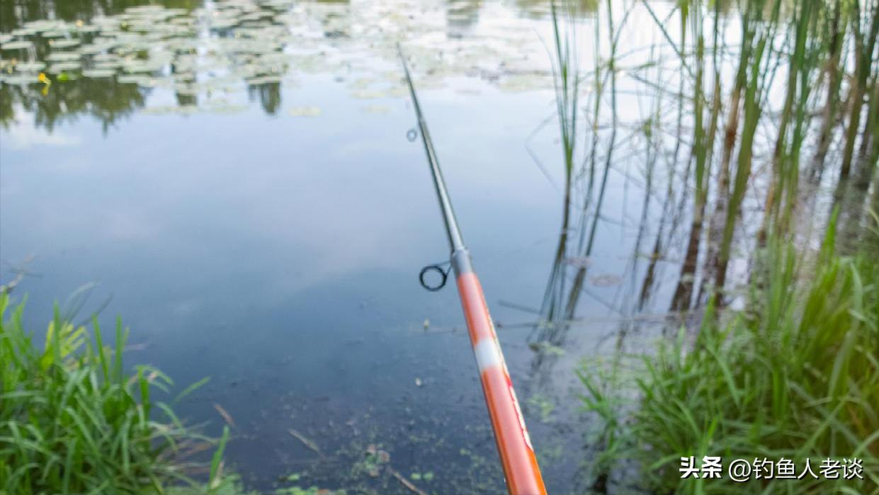 飞德鱼竿的特点,伽玛卡兹鱼竿有什么特点