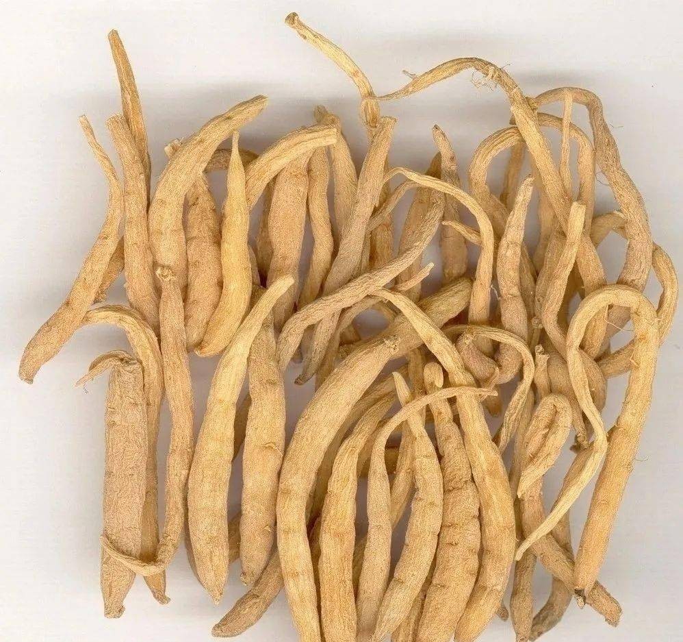 中医治痈疖用什么中药,中草药治疗火疖子处方