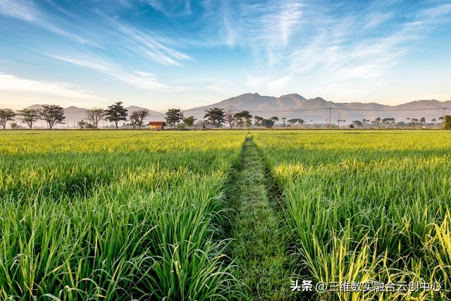 农业发展重点突破,农业创新发展模式