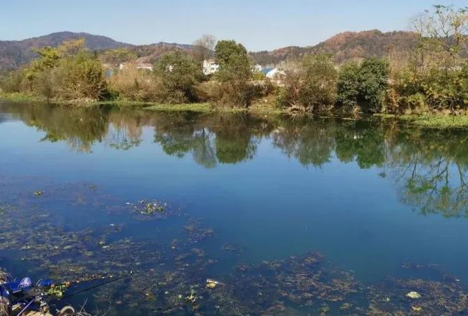 春季野钓找鱼窝的正确方法,夏季野钓找鱼窝的正确方法