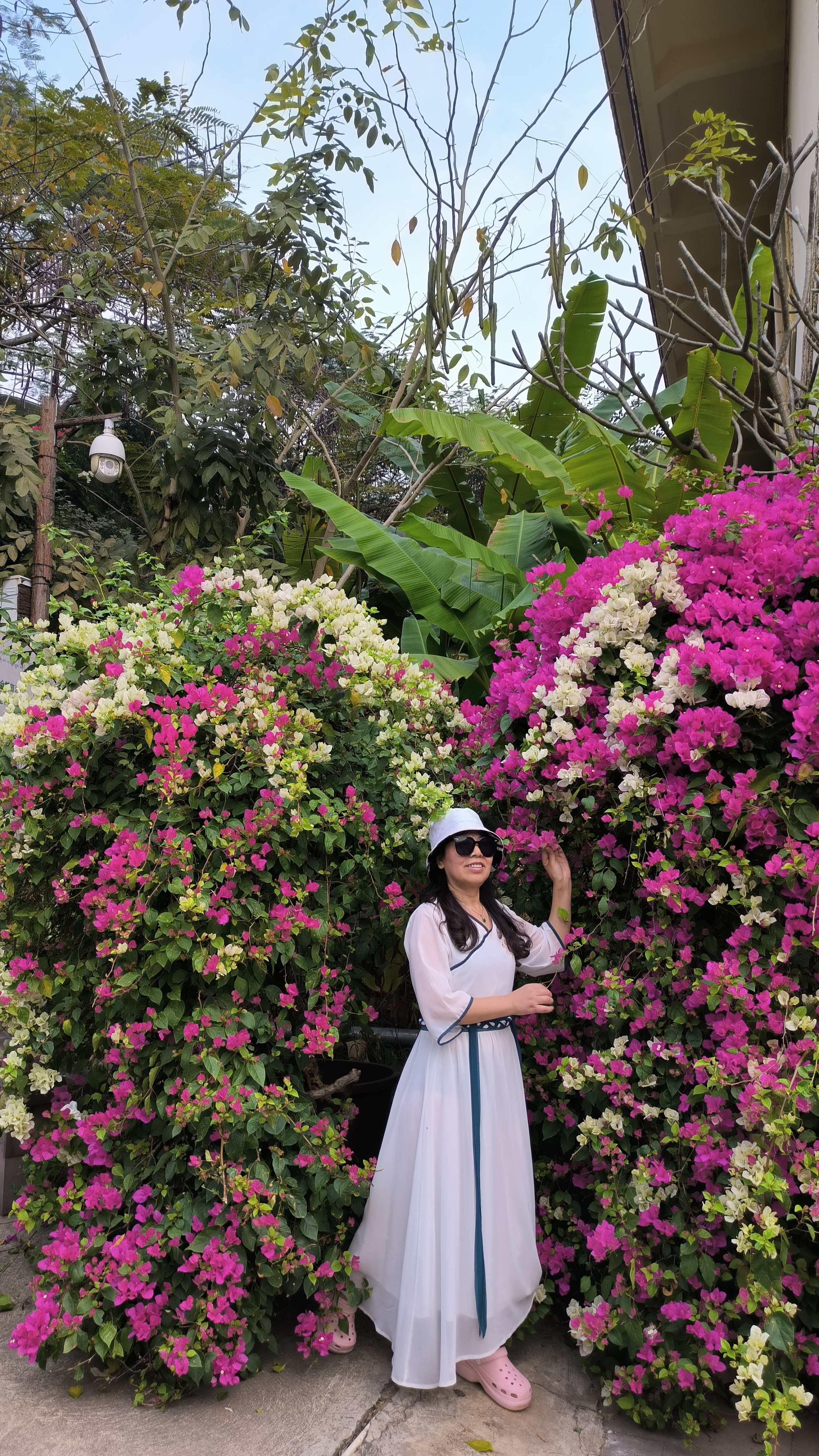 西双版纳曼听园攻略,云南西双版纳打卡曼听公园