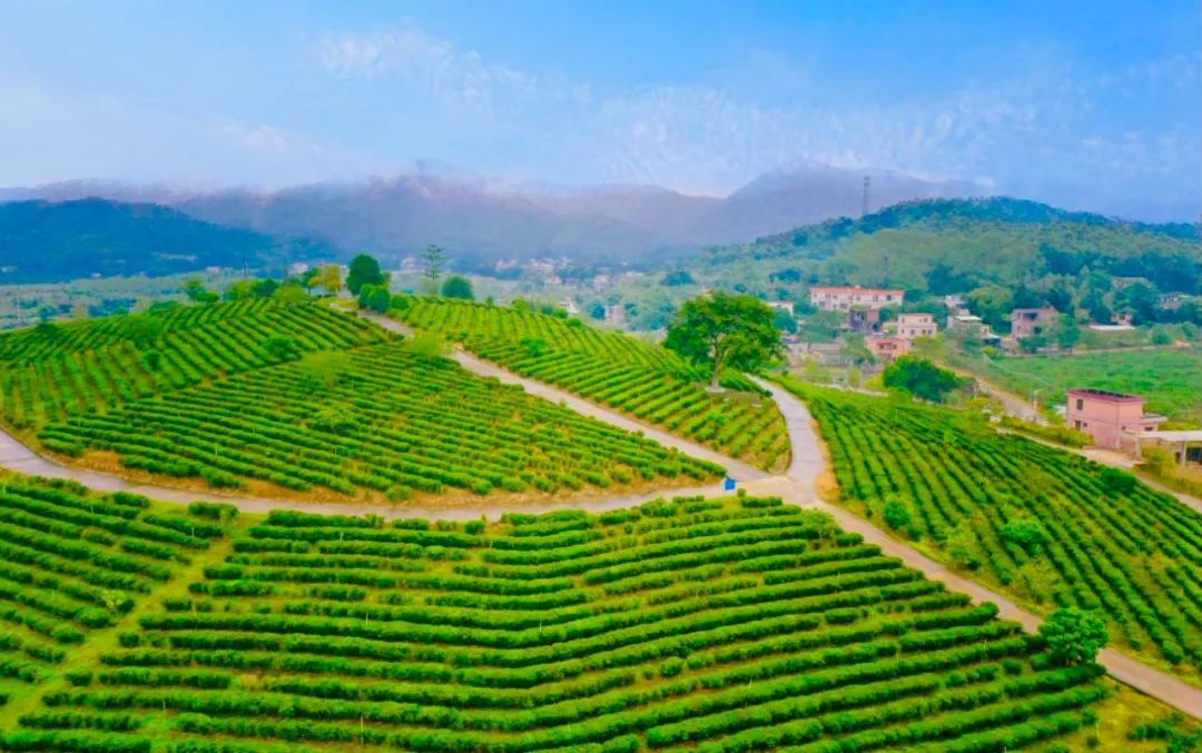 广东惠州旅游攻略3天自由行,惠州罗浮山2天一夜游