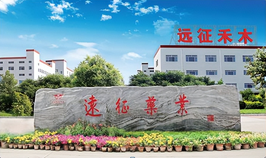 远征药业的普尼欣,河北远征药业商标