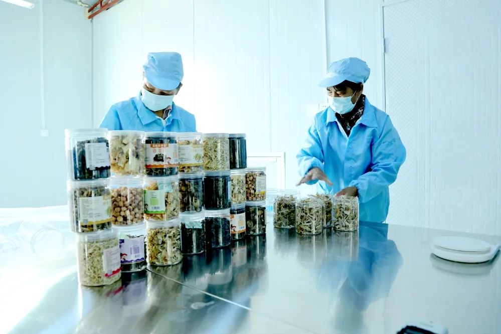 江苏红色村巡礼调研,红色文化巡礼