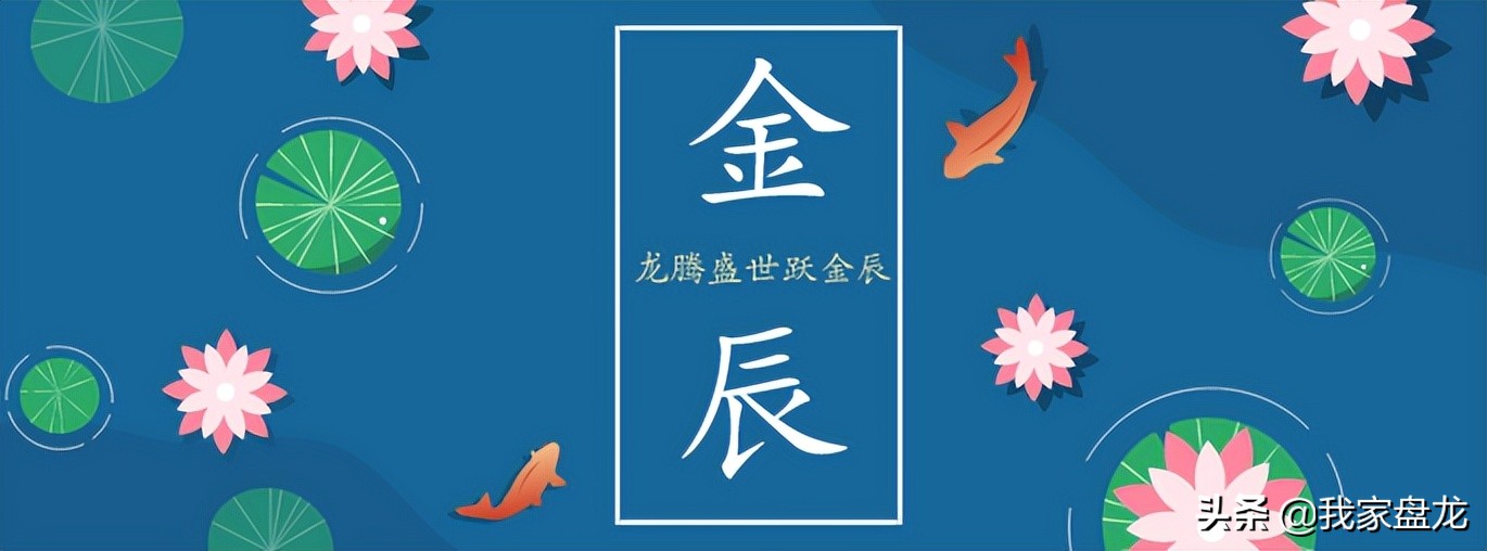 芳华正茂盘龙如歌|北市区的美食诱惑——金实美食街