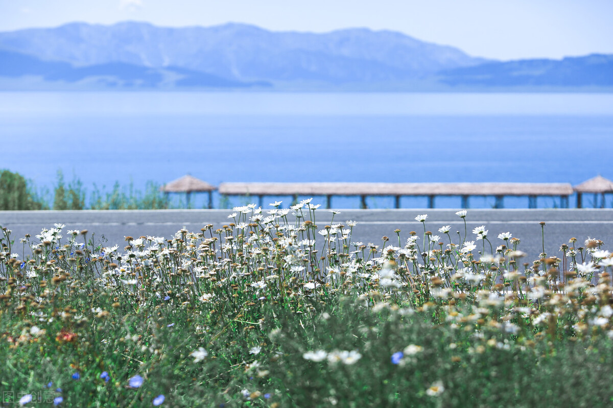 疆内包车价目表,疆旅租车乌鲁木齐