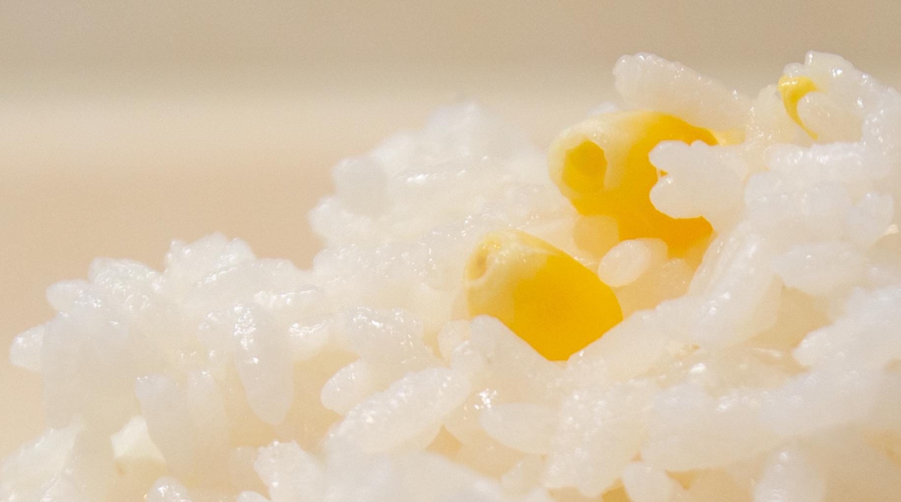 米饭煮的好和电饭煲有关系么,煮了5天的米饭还能吃吗