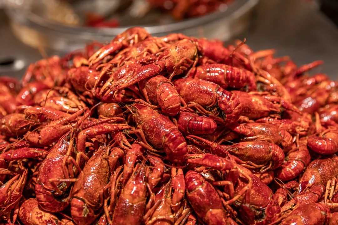 千万不要去荆州