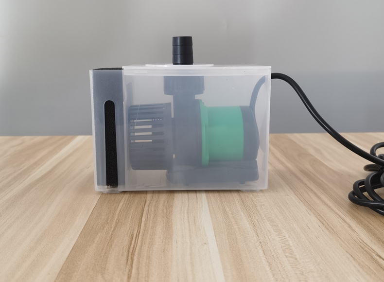 鱼缸水泵防吸鱼,鱼缸水泵口吸小鱼怎么办