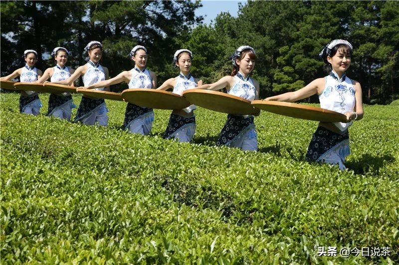 湖北毛峰茶排名,湖北品质好的毛峰茶有哪些