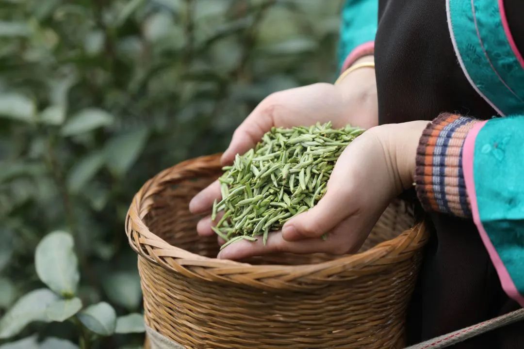夏天解暑喝什么饮料最好,夏天喝哪些饮料解渴呢