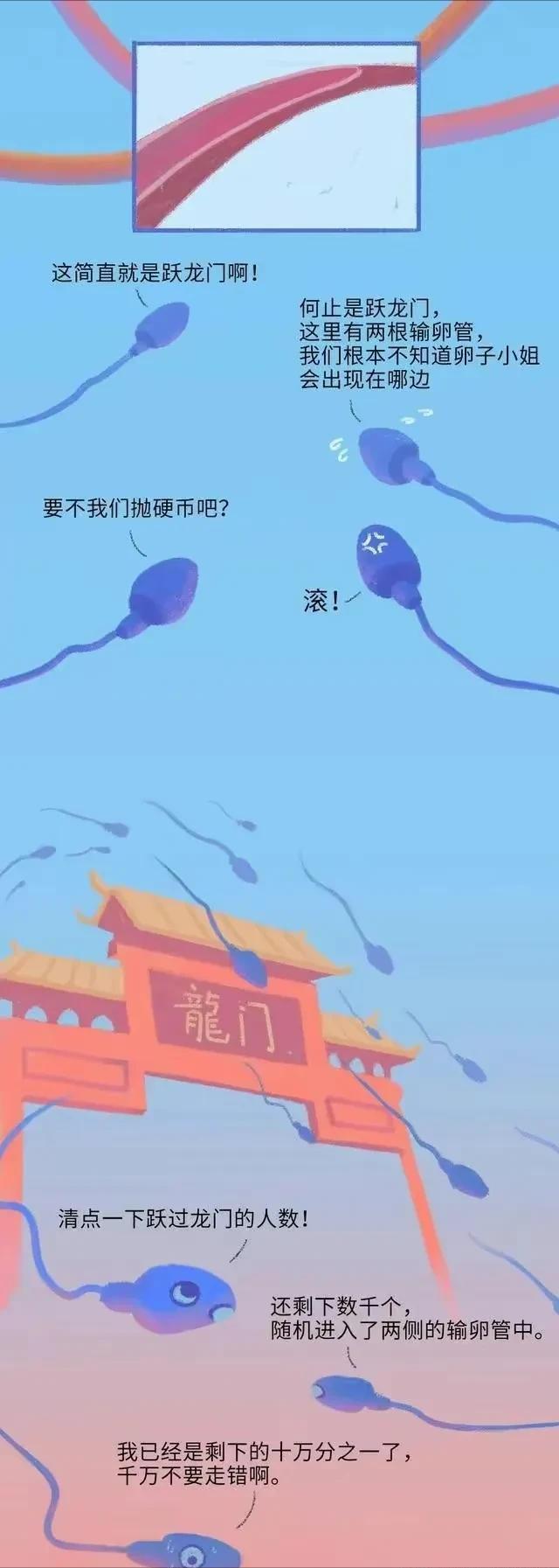 精子进入女性体内，会发生什么？有些刺激（漫画）