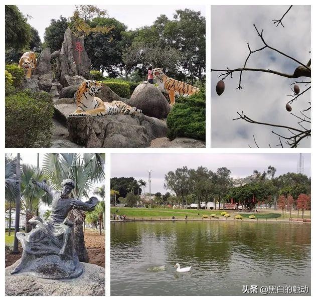 珠海最干净的海滩排名,珠海值得去的城市