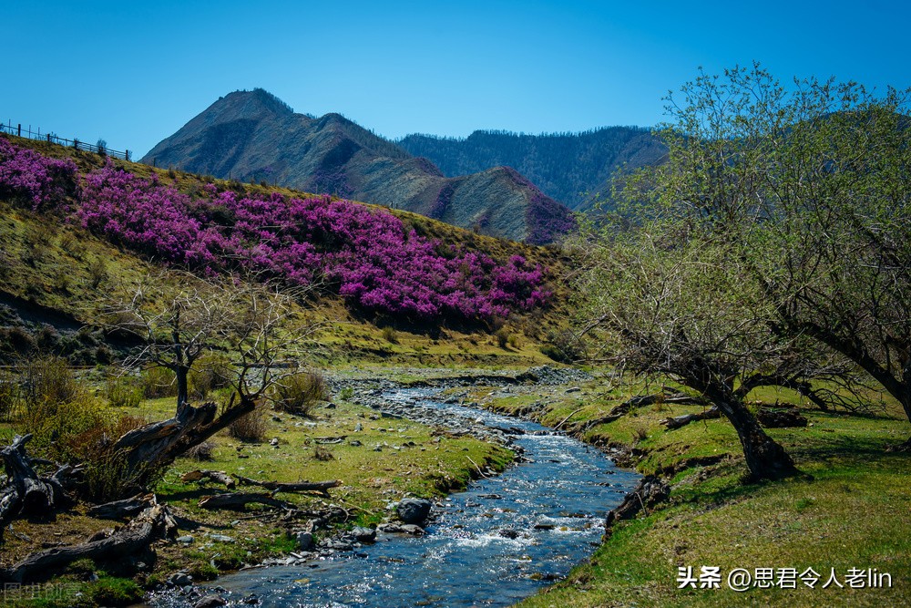 山水意境超美的诗,最美山水诗100首