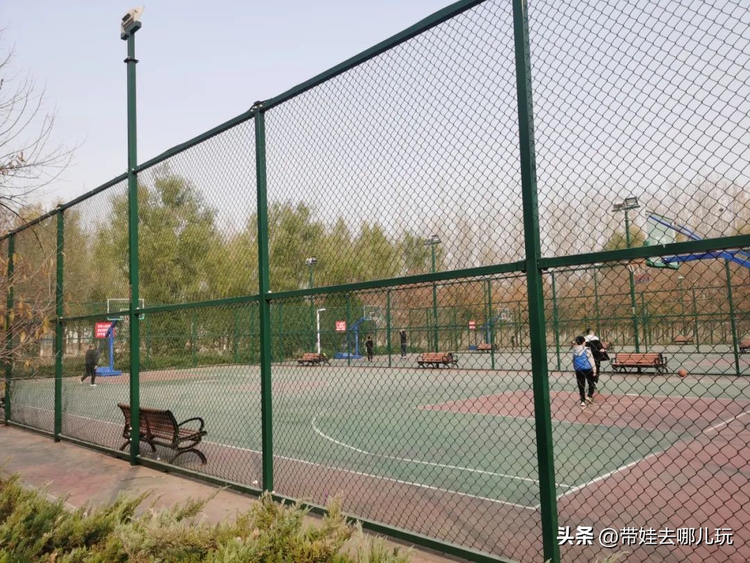 在森林公园里玩耍,中国可以骑行的森林公园