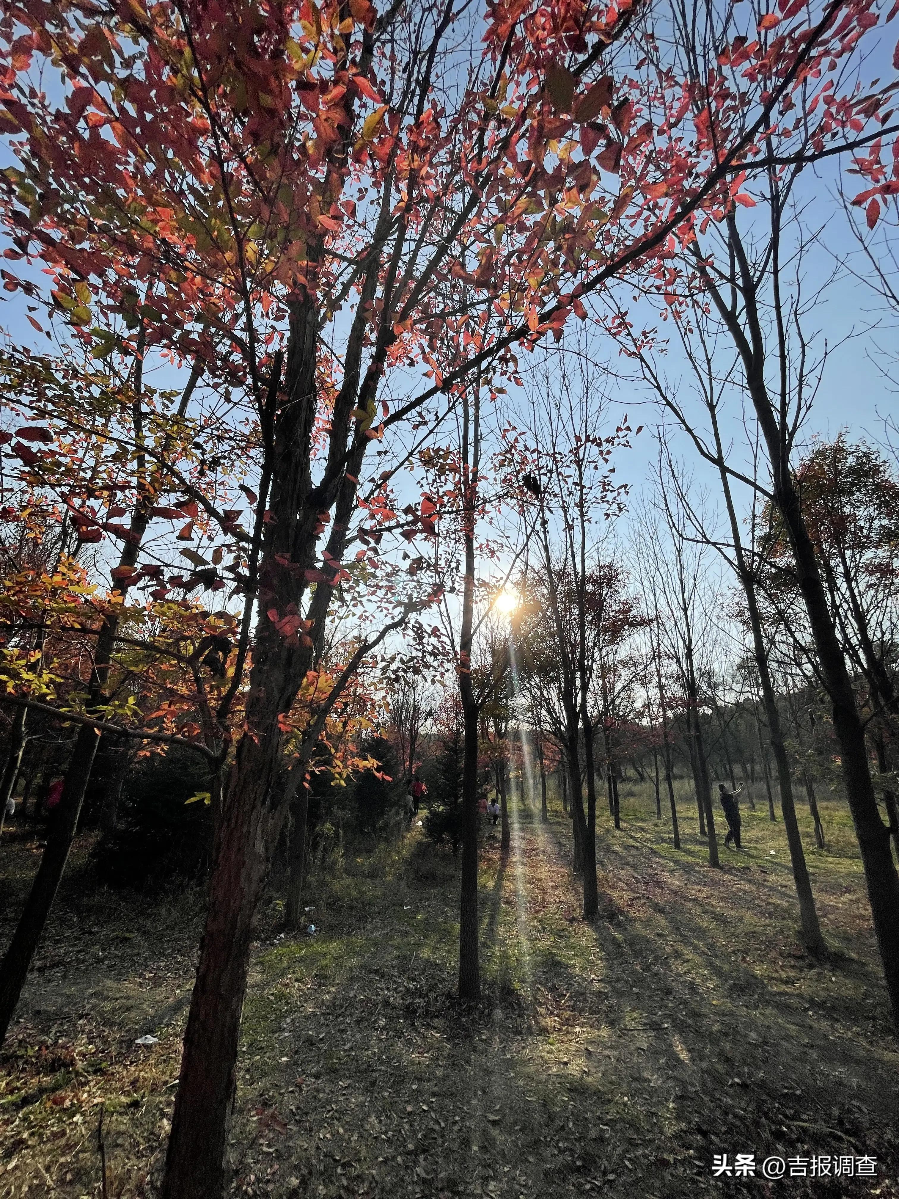 火红的节日，火红的生活！吉林百姓以一幕幕欣欣向荣国泰民安的美好场景歌唱祖国祝福祖国