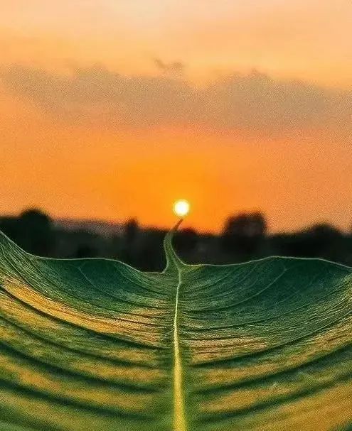 心若自在便是逍遥原唱,心若自在风雅自来