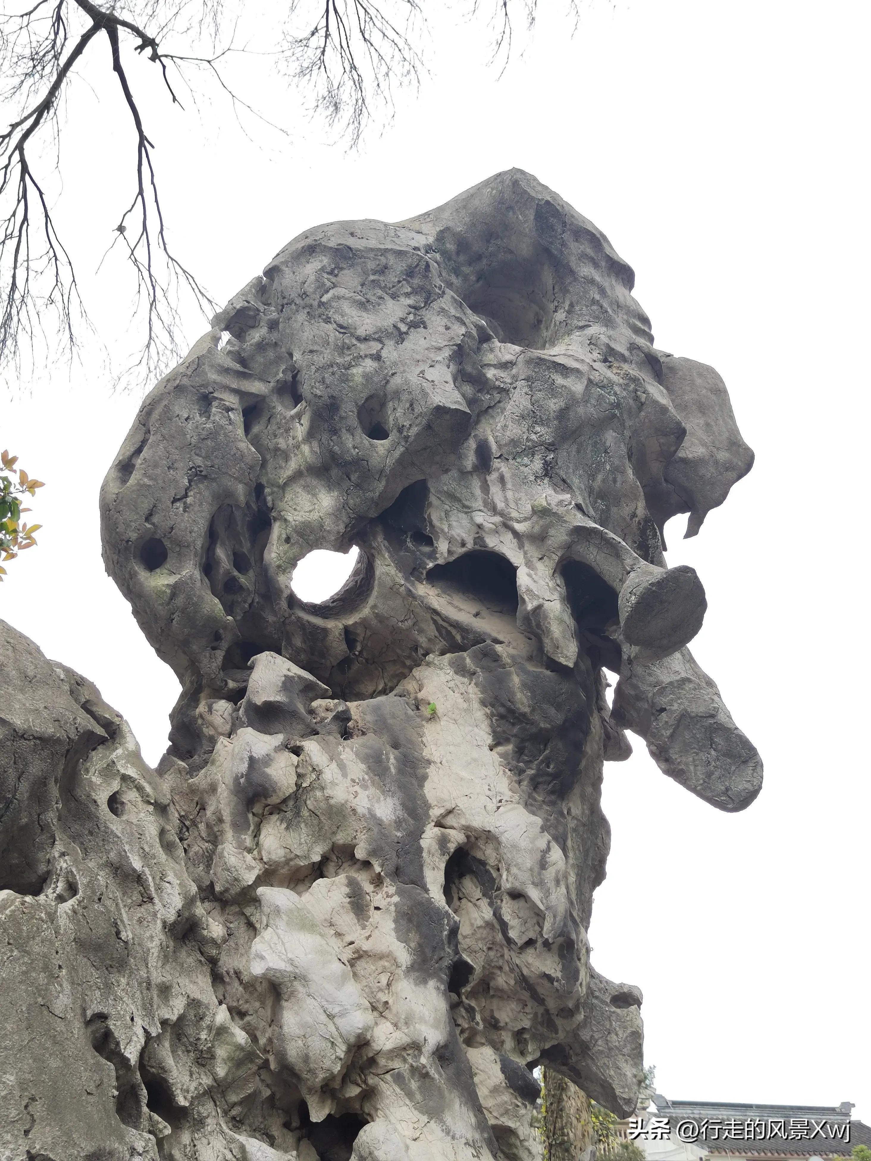 烟花三月下江南猜生肖,苏州江南农耕文化园烟花