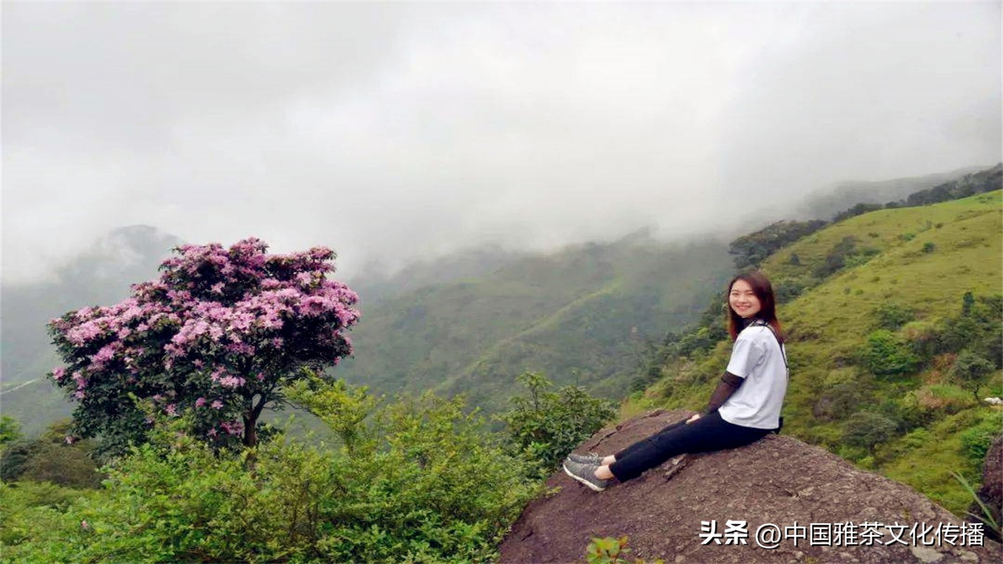 阡陌红尘岁月荏苒,阡陌红尘经典语录