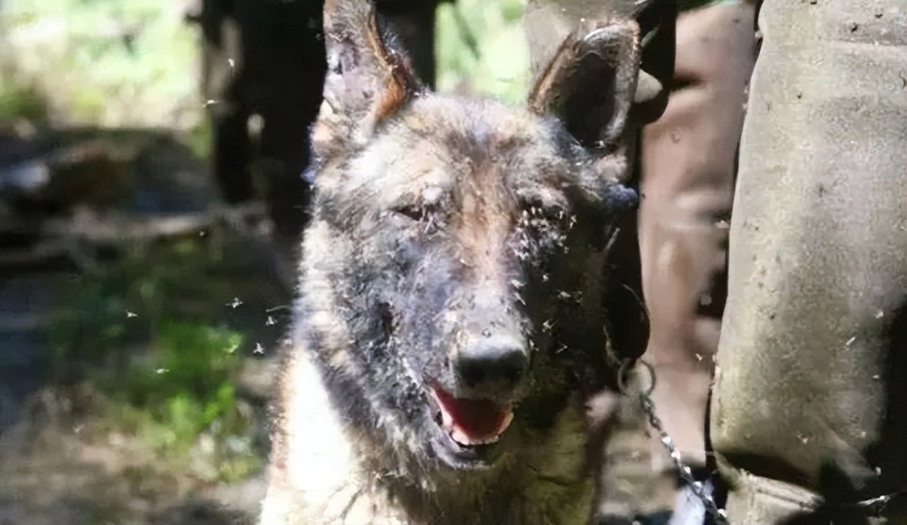 那些年轻时很帅的人,乌克兰边缘青年