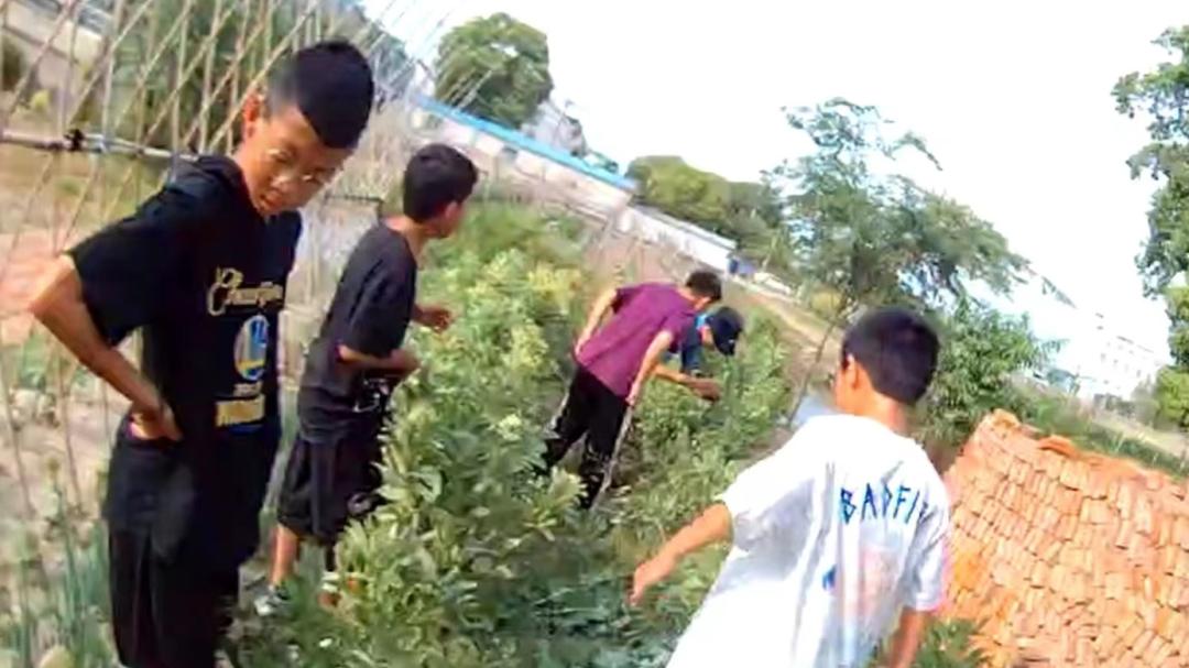 小学生发现罂粟报警被奖期末试卷,小学生发现罂粟获暖心表彰