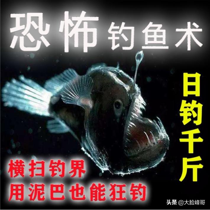 渔具内幕揭秘,渔具店坑人