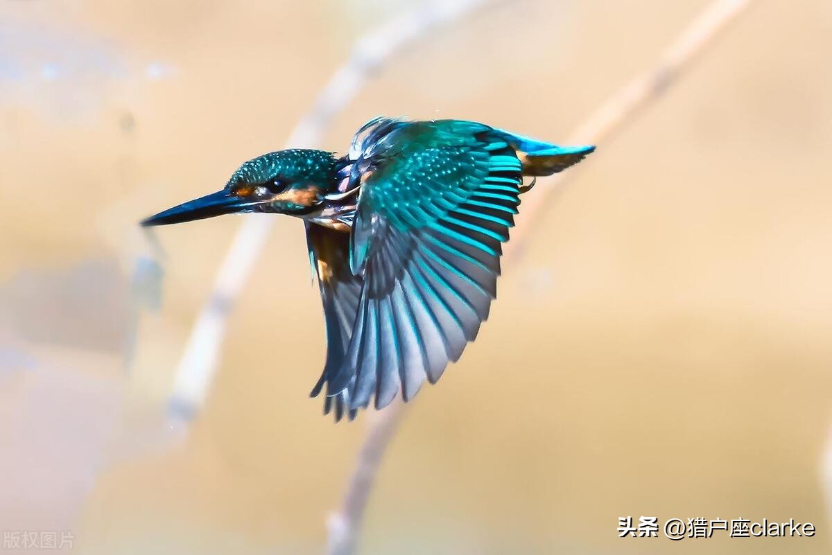 五种运动镜头的拍摄技巧,怎么拍出有力量感的动作