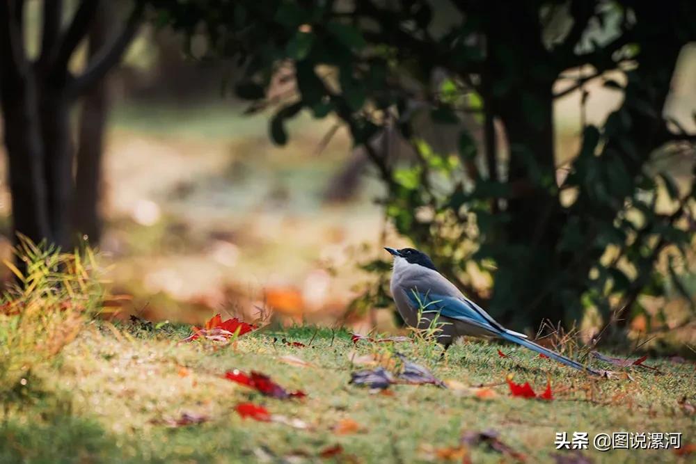 获奖摄影比赛作品,摄影比赛获奖名单公示