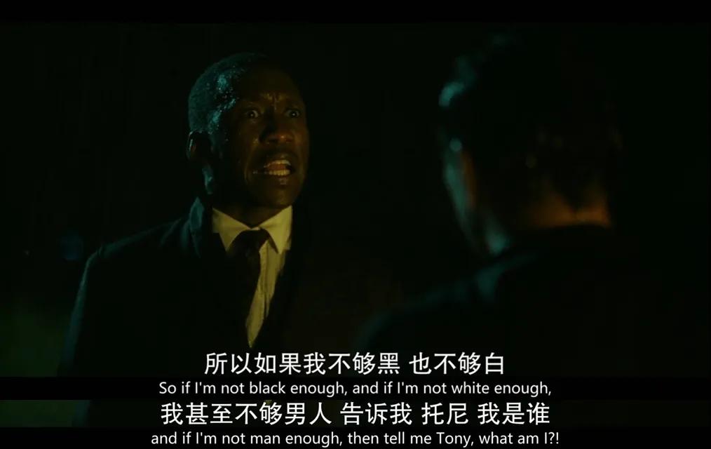 全球发生的大事件,全球目前大事件