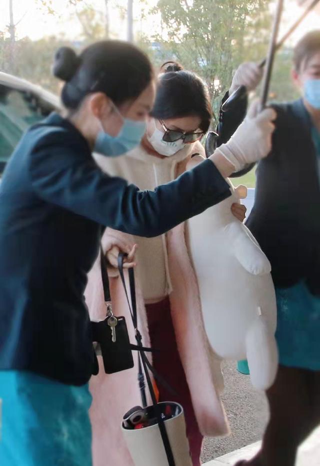 泰迪熊大衣赵丽颖,赵丽颖粉色泰迪熊