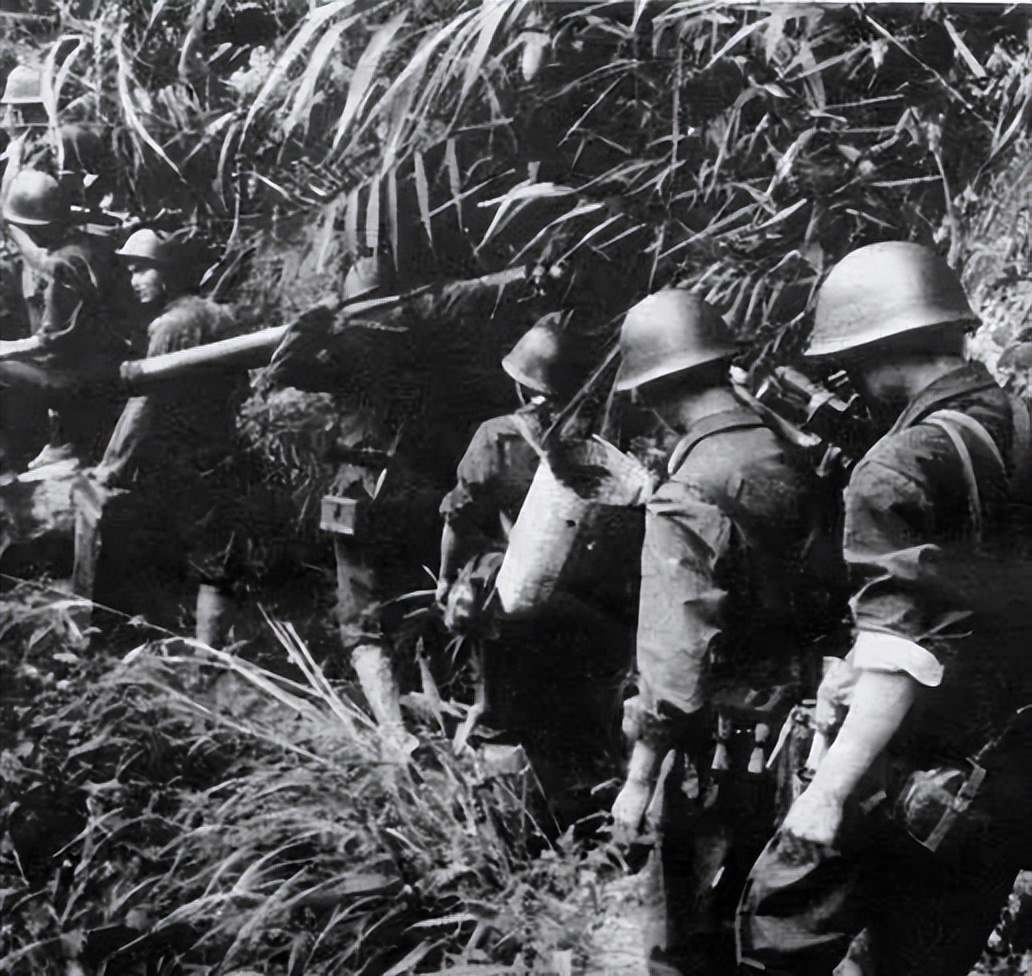 一场错误的决策,一场失误引发的悲剧