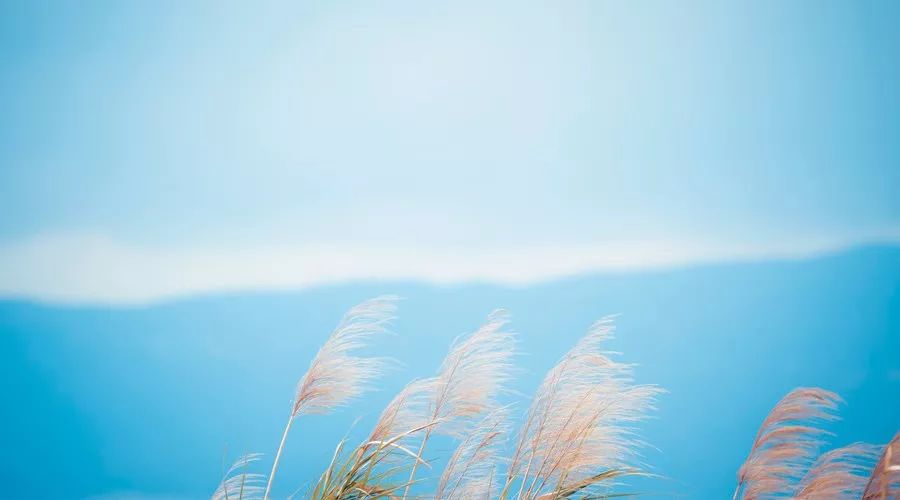 三观不合是人与人最远的距离,三观是人生交往最重要的东西