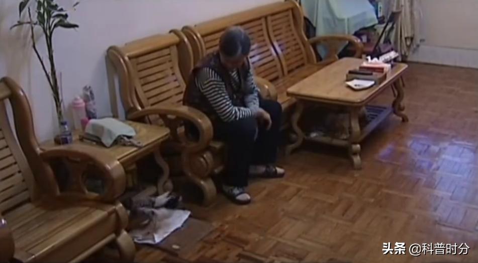 13年广西发现神奇鸭子，只给美女按摩能懂人话，禁提“煲汤”二字