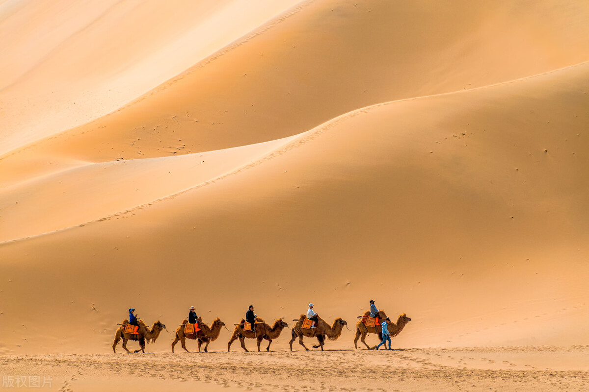 景区营销方案100种引流方法,景区营销方案100例