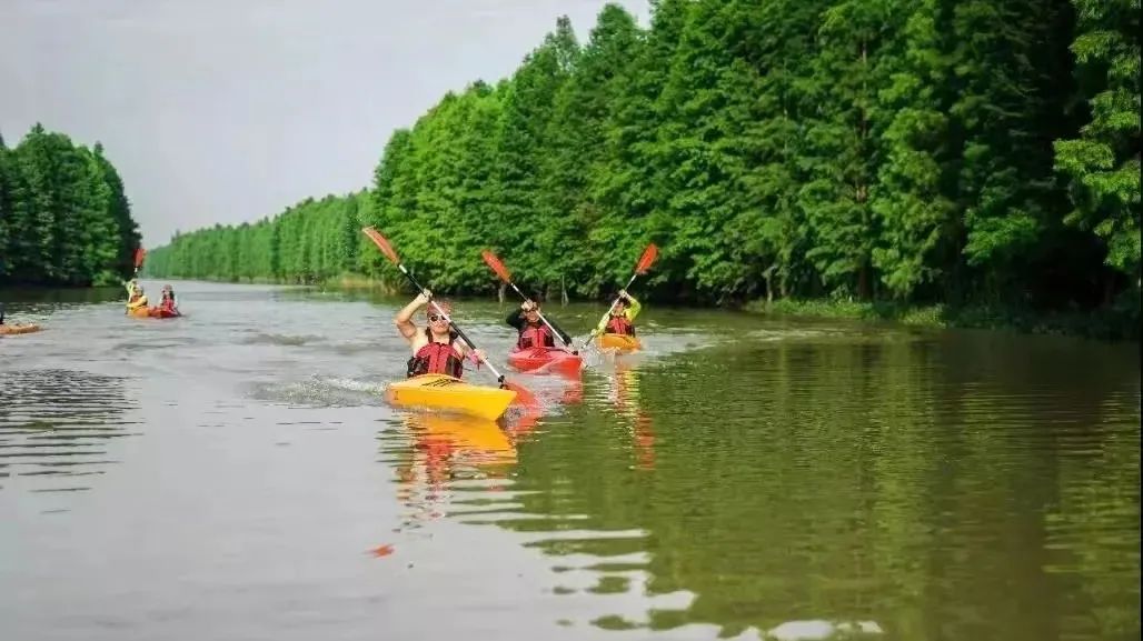 上海露营卡丁车哪里好玩,魔都自驾露营怎么玩