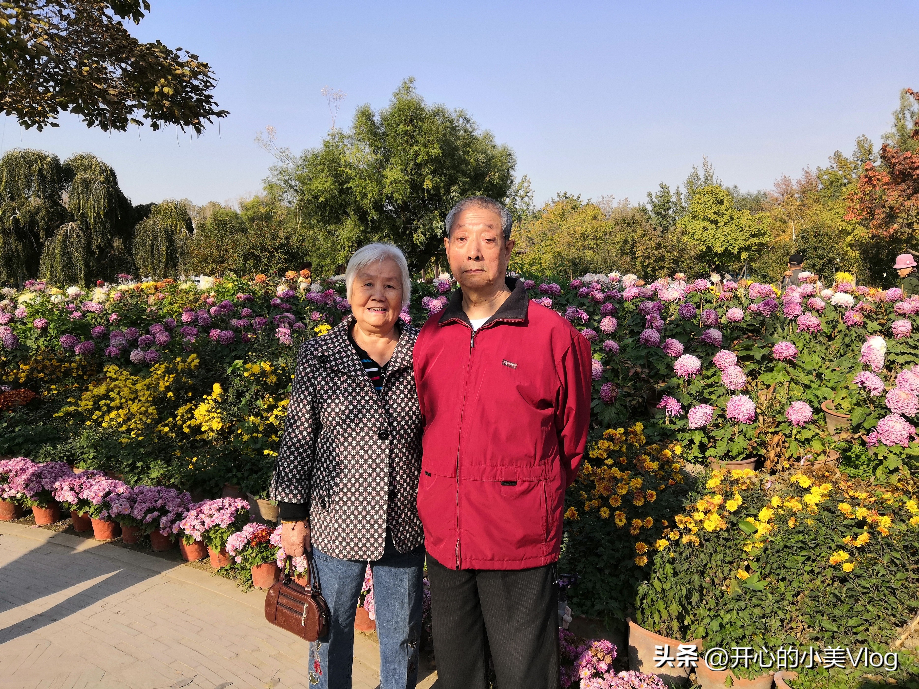 如果你有一个眼睛看不见的父亲