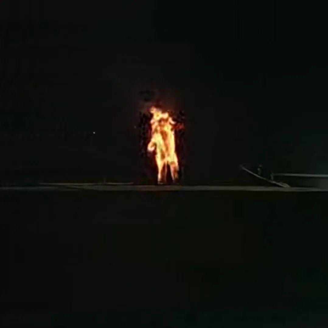 大专课上，老师教我洗澡、避孕、正常做人