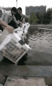 放生是否为了求功德,放生塘鲺的功德