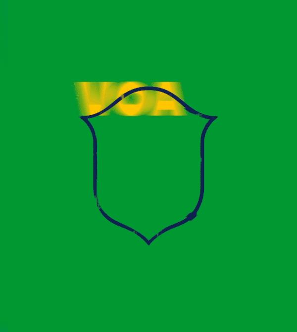 巴西世界杯足球设计,巴西世界杯队徽图片