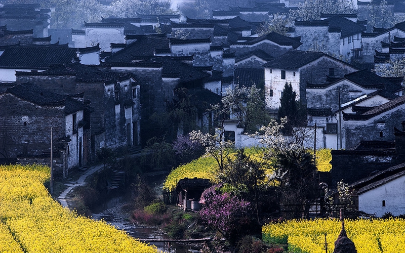 春色满园风景摄影,婺源摄影写真