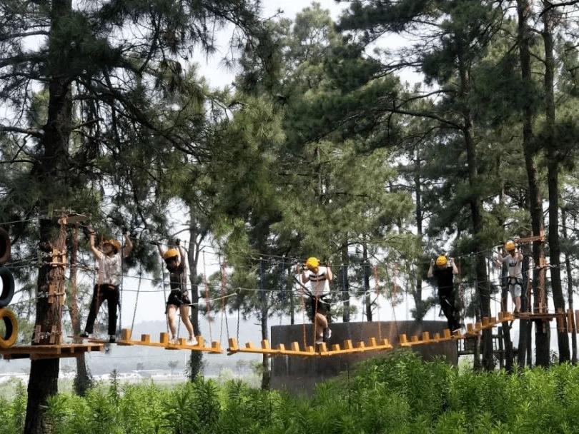 张家港农场网红打卡,周边农场网红打卡点创意