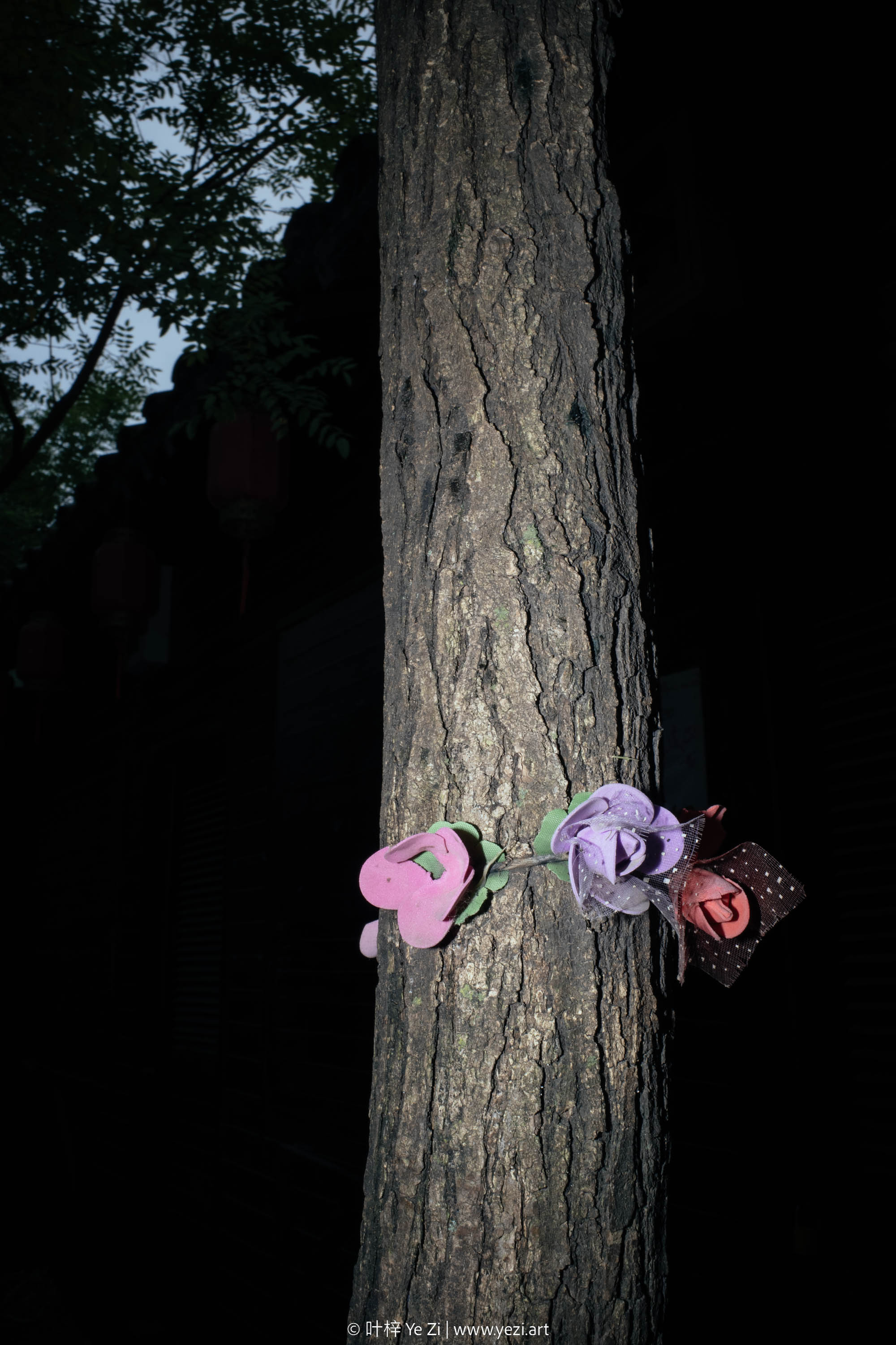 一起做个实验，看看你还能不能拍出“纯小白”的照片？