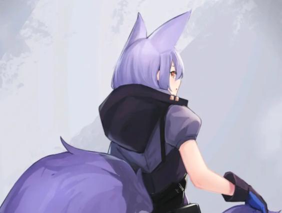 明日方舟普罗旺斯的优先攻击单位,明日方舟五星盾强度排名