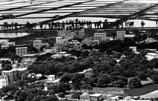 深圳厦岗文氏家族,深圳姓氏源流