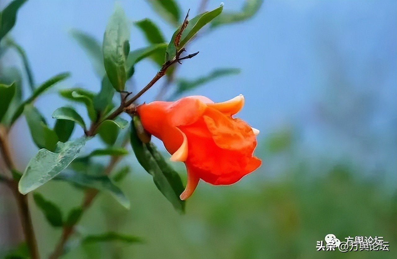 「地市巡礼」099合肥市：合吞天下肥纳百川，越宁超汉堪称霸都